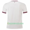 Billiga Fotbollströjor Aston Villa Borta tröja 2018/19 Kortärmad